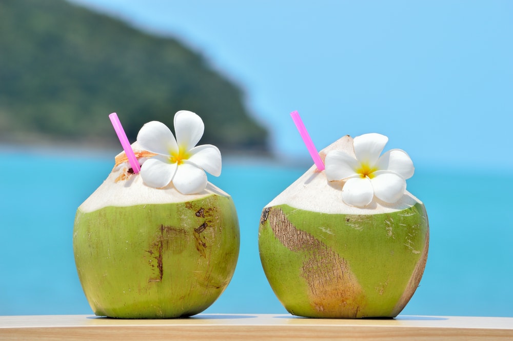 tropical coconut drinks with plumeria 